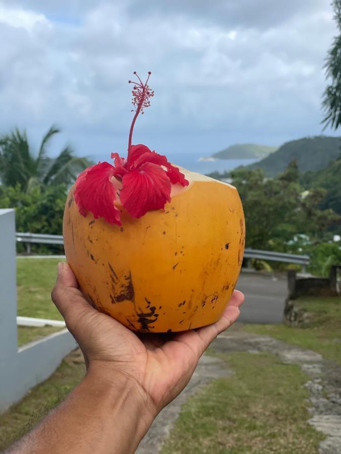 Western Ocean Breeze Self Catering Victoria Luaran gambar
